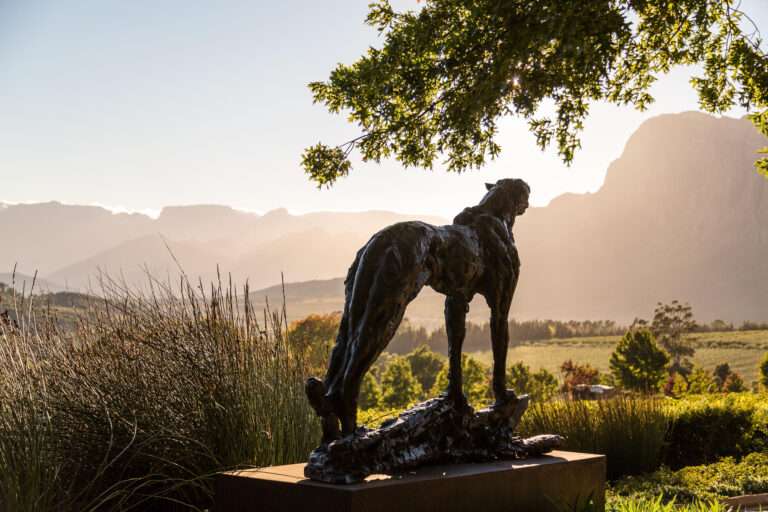 Delaire Graff Estate in Stellenbosch