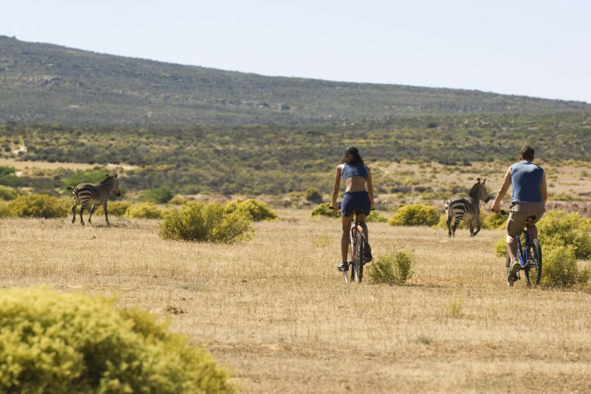 Bushmans Kloof Wilderness Reserve & Wellness Retreat - Clanwilliam