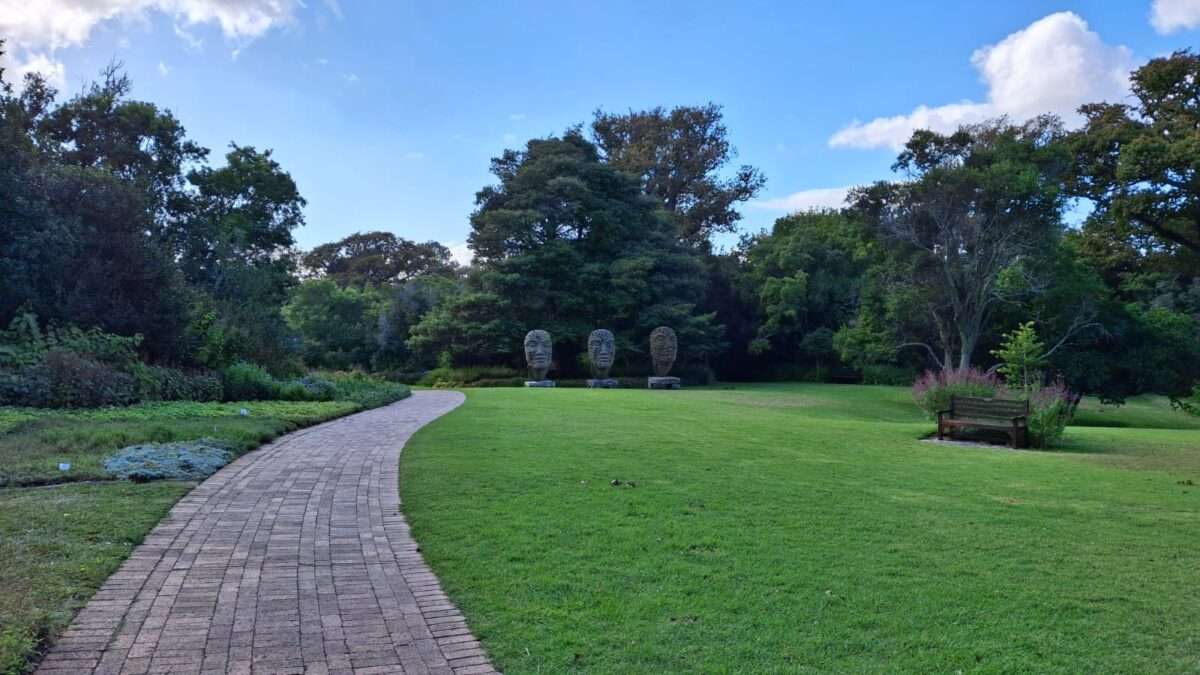 Kirstenbosch National Botanical Garden in Cape Town