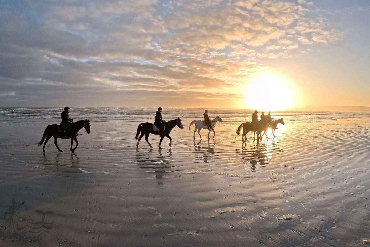 Pearly Beach Horse Trails