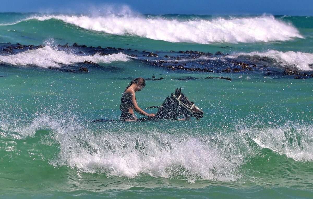 Pearly Beach Horse Trails