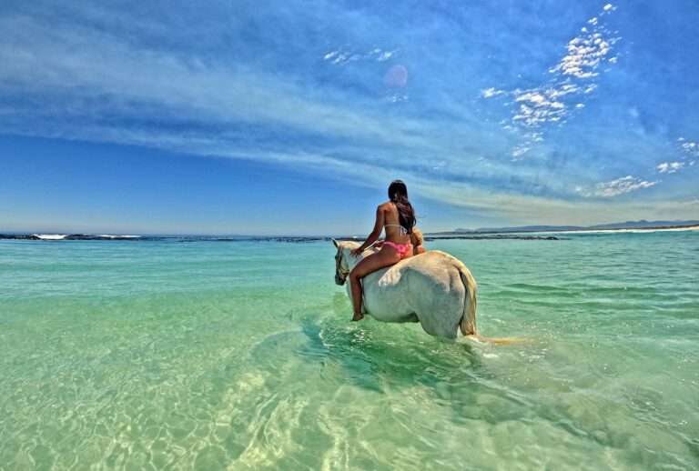 Pearly Beach Horse Trails