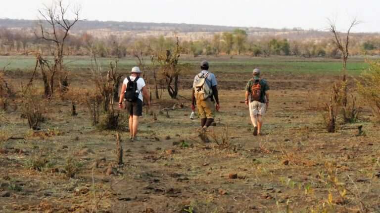 Walking Safaris at Hideaways Nantwich Lodge